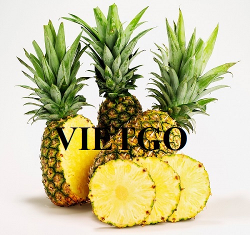 Cơ hội xuất khẩu Dứa tươi sang thị trường Dubai