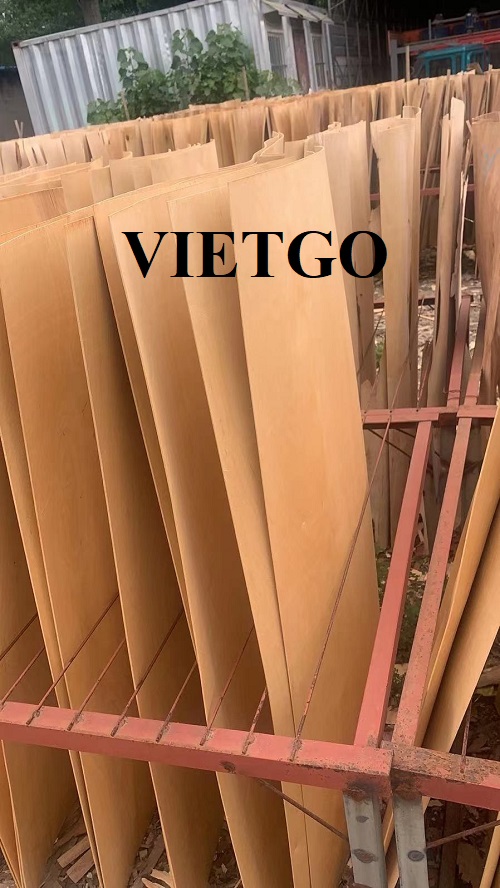Cơ hội xuất khẩu ván bóc sang thị trường Trung Quốc