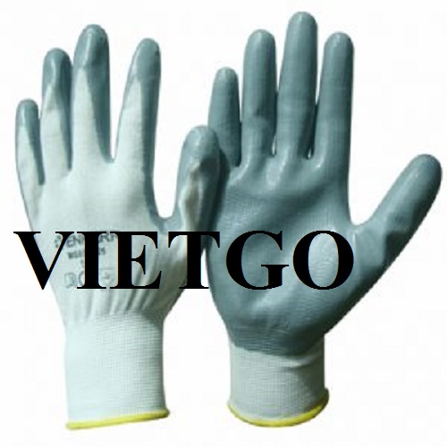 Cơ hội xuất khẩu mặt hàng găng tay bảo hộ lao động sang thị trường Italia