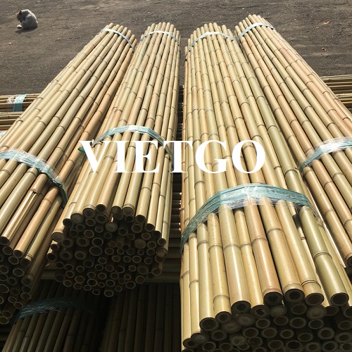 Cơ hội cung cấp 2 triệu chiếc gậy tre cho một dự án xây dựng tại Indonesia