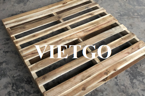 Cơ hội xuất khẩu thường xuyên pallet gỗ keo sang thị trường Úc