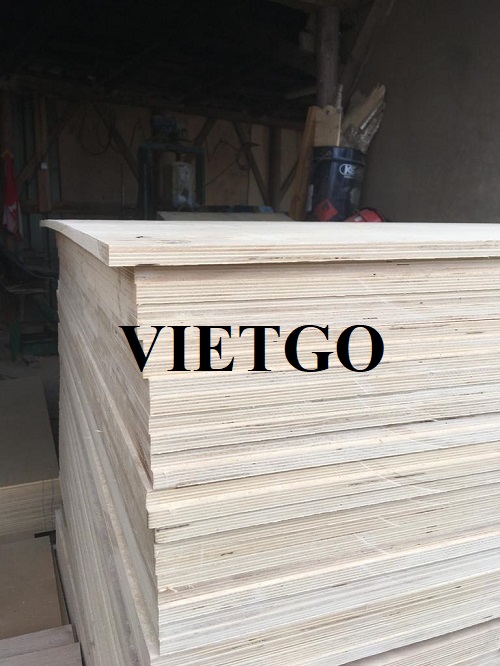 Cơ hội xuất khẩu gỗ dán sang thị trường Ba Lan