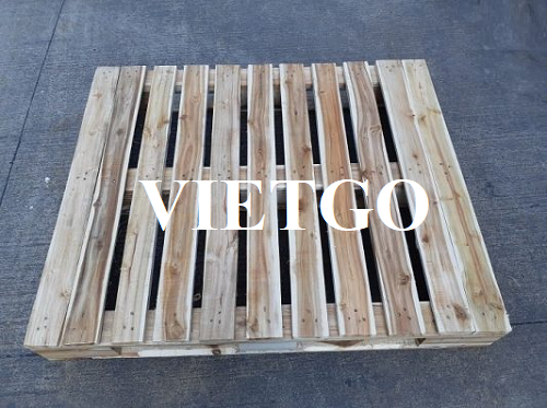 Cơ hội xuất khẩu số lượng lớn pallet gỗ hàng tuần sang thị trường Malaysia