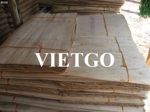 Cơ hội xuất khẩu ván bóc sang thị trường Trung Quốc