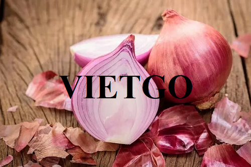 Cơ hội xuất khẩu hành tím sang thị trường Anh