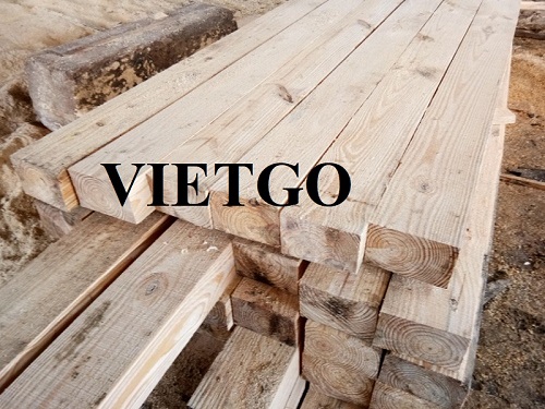 Cơ hội xuất khẩu gỗ thông xẻ sang thị trường Thái Lan