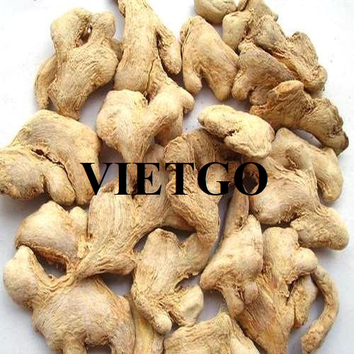 Cơ hội xuất khẩu Gừng khô sang thị trường Iran