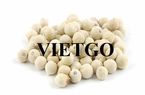 Cơ hội xuất khẩu tiêu trắng sang thị trường Ai Cập