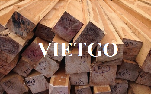 Cơ hội xuất khẩu thường xuyên gỗ teak xẻ sang thị trường UAE