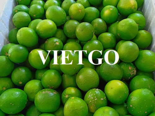 Cơ hội xuất khẩu chanh xanh sang thị trường Suriname
