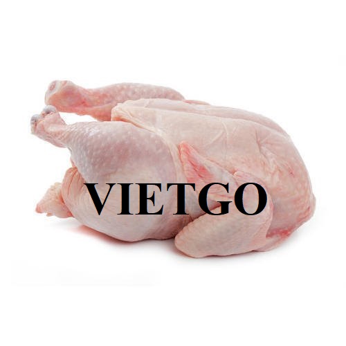Cơ hội xuất khẩu 1000 tấn gà đông lạnh cho vị khách hàng người Đan Mạch