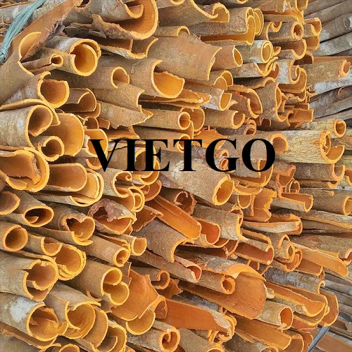 Cơ hội xuất khẩu Quế sang thị trường Ấn Độ