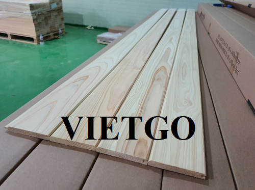 Cơ hội xuất khẩu thường xuyên số lượng lớn gỗ thông xẻ cho một vị khách hàng người Albania