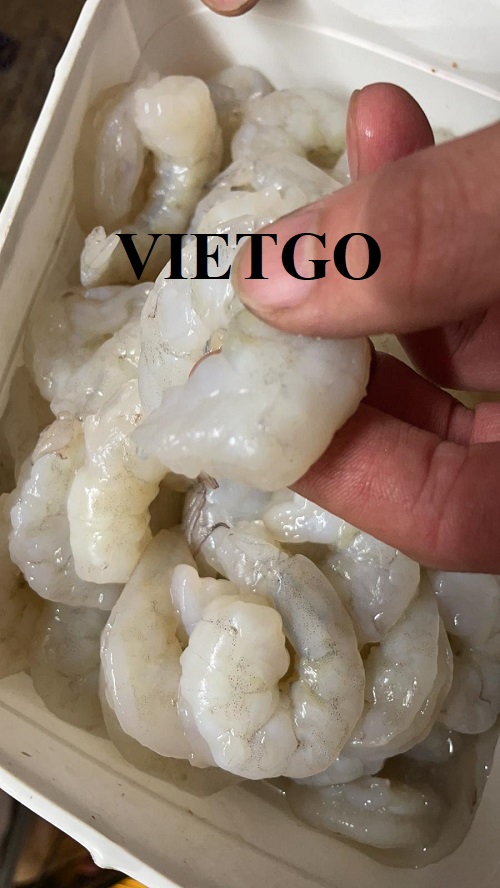 Cơ hội xuất khẩu tôm thẻ chân trắng đông lạnh sang Vương quốc Anh