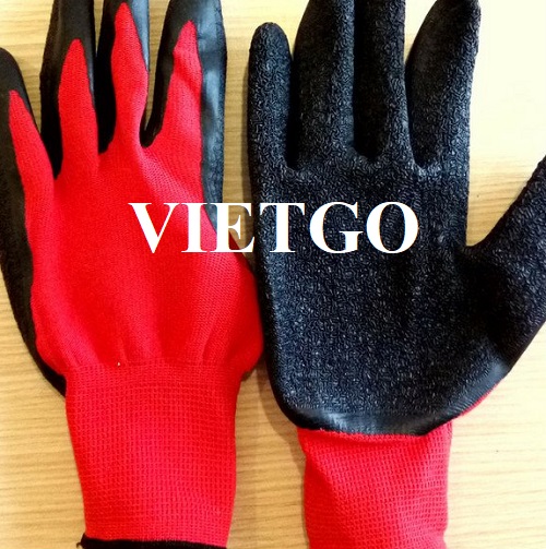 Cơ hội xuất khẩu số lượng lớn mặt hàng găng tay lao động cho vị khách hàng đến từ Ba Lan