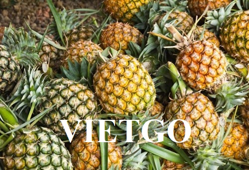 Cơ hội xuất khẩu dứa tươi sang thị trường Nhật Bản