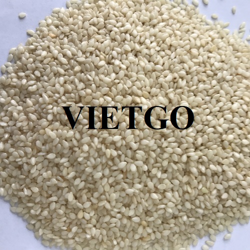 Cơ hội xuất khẩu hạt mè sang thị trường Hoa Kỳ