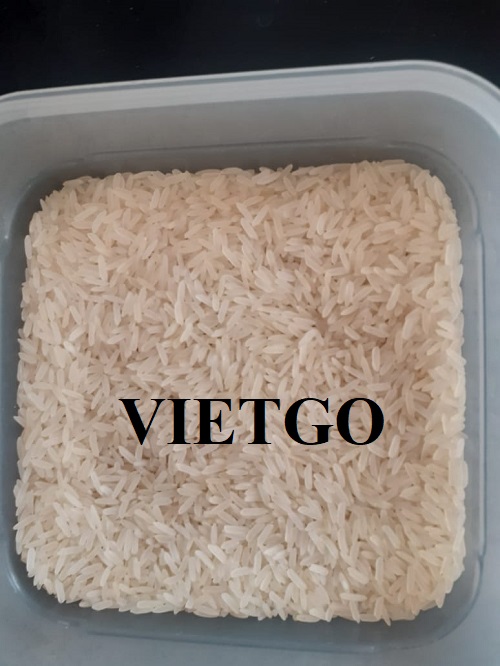 Cơ hội xuất khẩu gạo sang thị trường Nam Phi