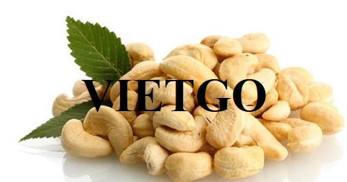 Cơ hội xuất khẩu Hạt điều đến từ vị khách hàng người Mỹ