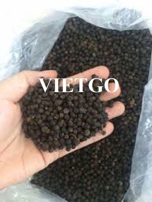 Cơ hội xuất khẩu Tiêu đen sang thị trường Thổ Nhĩ Kỳ