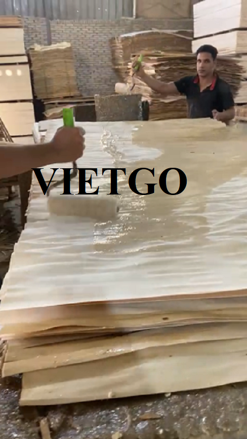 Cơ hội xuất khẩu thường xuyên ván bóc sang thị trường Ai Cập