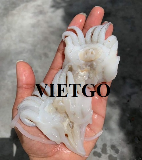 Cơ hội cung cấp đầu mực cho một công ty chuyên nhập khẩu thủy hải sản tại Thái Lan