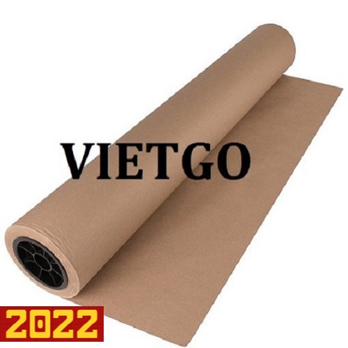 Cơ hội xuất khẩu cuộn giấy Kraft sang thị trường Thổ Nhĩ Kỳ