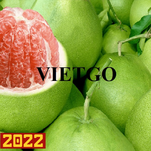Cơ hội xuất khẩu quả bưởi sang thị trường Afghanistan và Trung Quốc