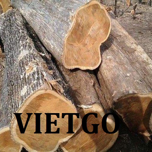 Cơ hội xuất khẩu gỗ teak tròn sang thị trường Pháp