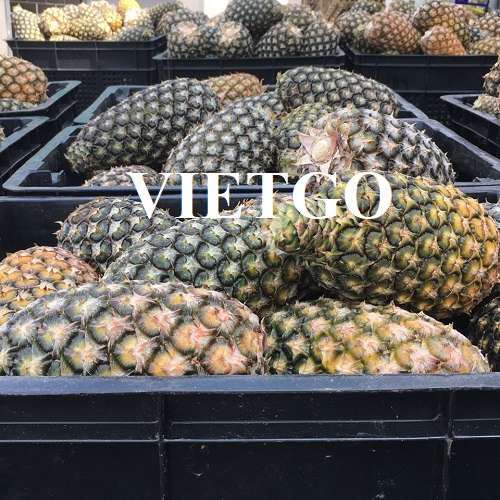 Cơ hội xuất khẩu dứa tươi sang thị trường Hàn Quốc