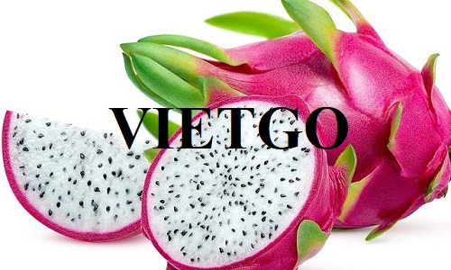 Cơ hội xuất khẩu thanh long sang thị trường Ấn Độ và Ý