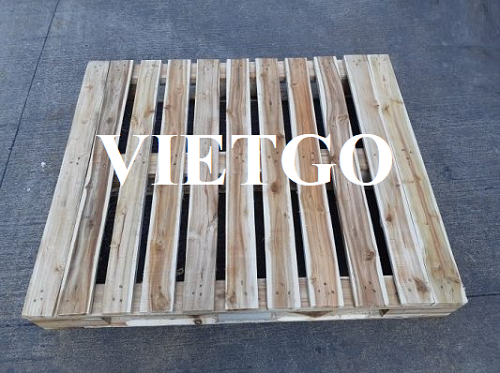 Cơ hội xuất khẩu pallet gỗ hàng tuần sang thị trường Slovakia