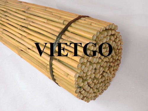 Cơ hội xuất khẩu sản phẩm gậy tre sang thị trường Mỹ