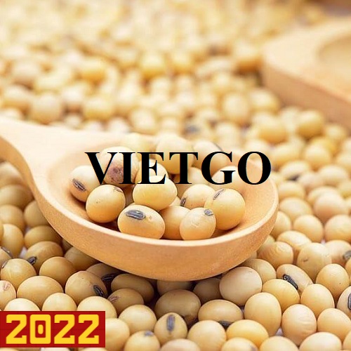 Cơ hội xuất khẩu hạt đậu nành đến từ vị khách hàng người Mỹ