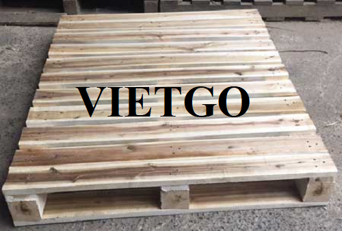 Cơ hội xuất khẩu pallet gỗ hàng tháng sang thị trường Slovenia