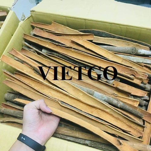 Cơ hội xuất khẩu quế chẻ sang thị trường Ấn Độ