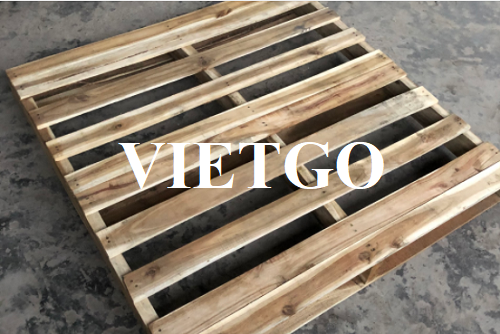 Cơ hội xuất khẩu thường xuyên pallet gỗ sang thị trường Mỹ