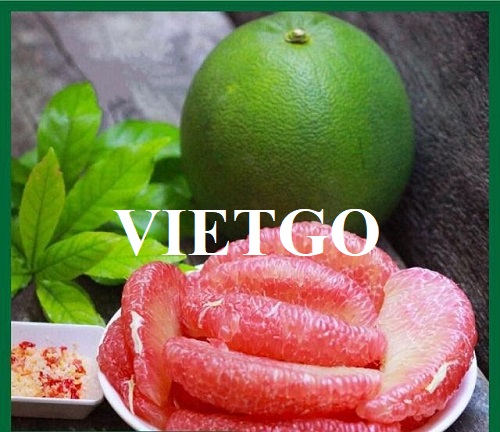 Cơ hội xuất khẩu quả bưởi sang thị trường Ý