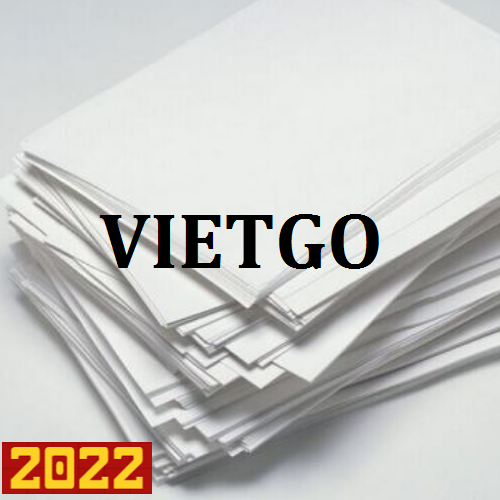 Cơ hội xuất khẩu giấy A4 sang thị trường Ai Cập