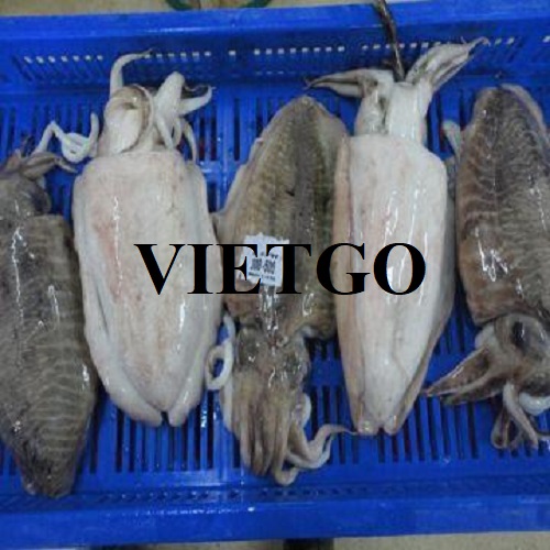 Cơ hội xuất khẩu sản phẩm mực nang sang thị trường Ý