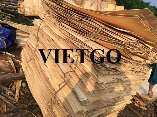 Cơ hội xuất khẩu số lượng lớn ván bóc cao su hàng tháng sang thị trường Trung Quốc