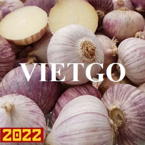 Cơ hội xuất khẩu tỏi trắng sang thị trường Thái Lan