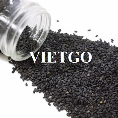 Cơ hội xuất khẩu hạt mè đen đến thị trường Trung Quốc