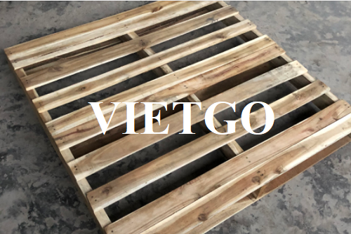 Cơ hội xuất khẩu số lượng lớn pallet gỗ sang thị trường Ả Rập Xê Út