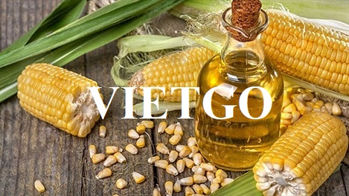Cơ hội xuất khẩu 1.000 tấn dầu ngô đến từ vị khách hàng người Ai Cập