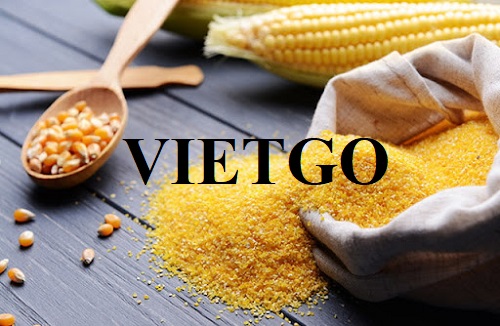 Cơ hội xuất khẩu bột ngô sang thị trường Hàn Quốc