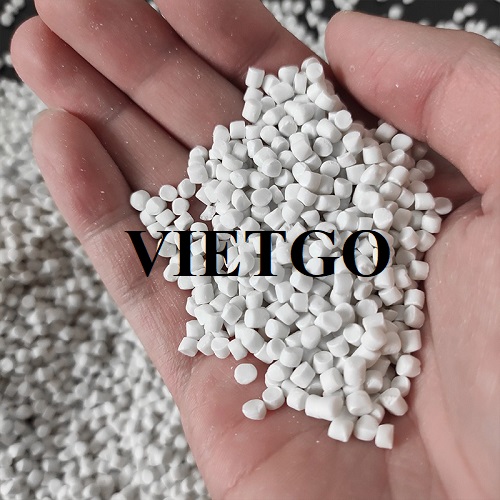 Cơ hội hợp tác với vị thương nhân đến từ Ấn Độ cho sản phẩm hạt độn nhựa
