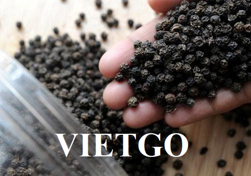 Cơ hội giao thương tiềm năng đến từ vị khách hàng người UAE cho sản phẩm tiêu đen