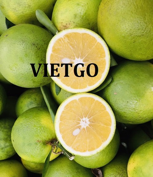 Cơ hội hợp tác dài hạn để xuất khẩu cam sang thị trường UAE