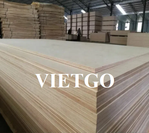 Thương vụ xuất khẩu gỗ dán hấp dẫn sang thị trường Oman